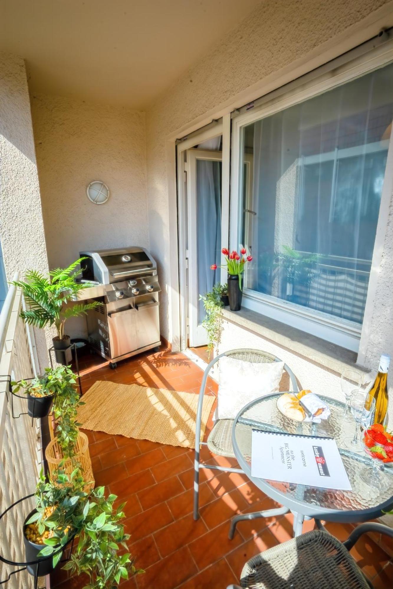 The Big Muenster Fuer Bis Zu 12, Whirlpool, Sauna, Zentral, Tischfussball, Balkon, Gasgrill Ulm Extérieur photo